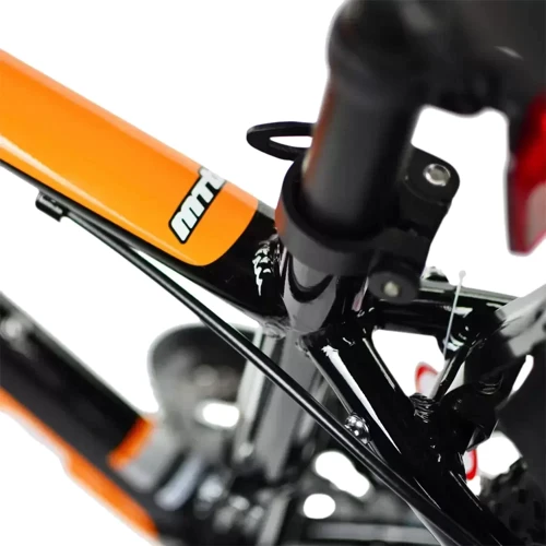 Велосипед RoyalBaby FEMA MTB 1.0 24", OFFICIAL UA, черный