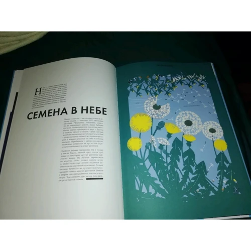 Джульєтта Ейнор: Небо. Інтерактивна книга з клапанами та різьбленими ілюстраціями про атмосферу, космос, повітроплавання: ISBN 978-5-00169-467-0