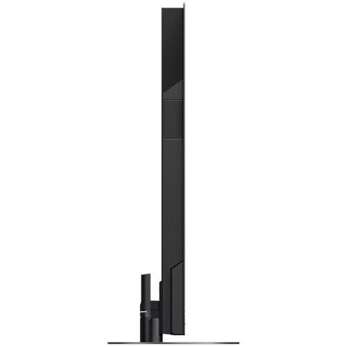 Телевизор Panasonic TX-55MZ2000E: Выход в интернет Ethernet (RJ-45) / WiFi