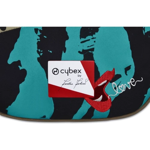 Чохол для ніг Cybex KK One Love multicolor: Виробник Cybex
