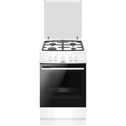 Газовая плита Hansa FCGW520554