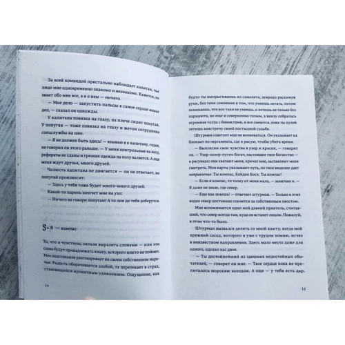 Нил Шустерман: Бездна Челленджера: Количество страниц 352