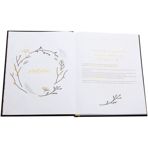 Книга-ежедневник MY UNIVERSE: Производитель Агенция АЙПИО