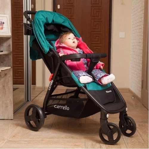 Прогулочная коляска Carrello Maestro CRL-1414 Purple: Количество блоков 1