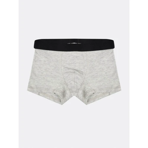 Труси H & M 5895200 110-116 см сірі
