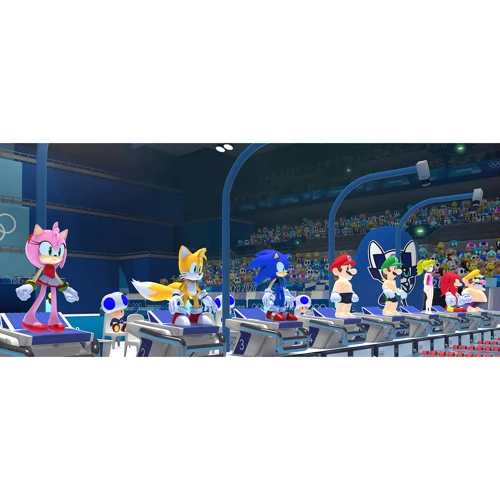 Mario & Sonic at the Olympic Games Tokyo 2020 (Nintendo Switch): Серия приставки Nintendo Switch