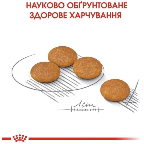 Сухий корм Royal Canin Mini Dermacomfort для собак з чутливою шкірою, схильною до подразнень 3 кг (2441030): Основні інгредієнти Рис