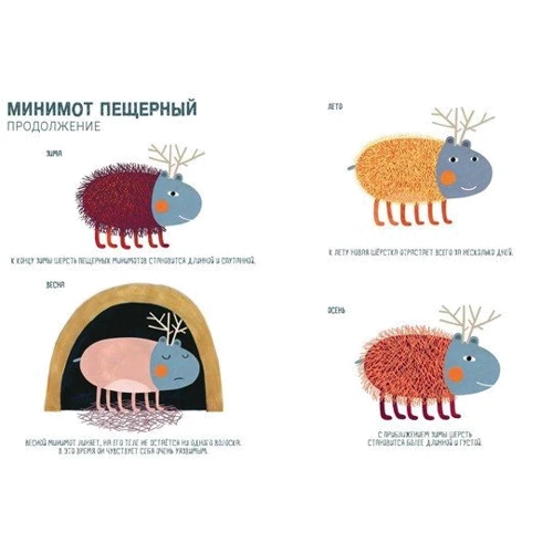 Жизнь минимотов: Обложка Твердая