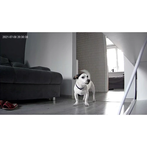 IP-камера відеоспостереження Camspot 3.6 Full HD WiFi фото 10