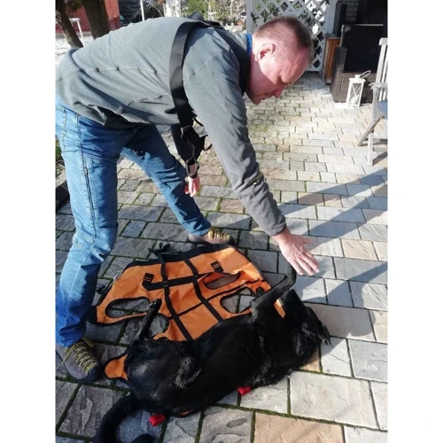 Страхова система для собак Singing Rock Laika (SR W0005YB09)