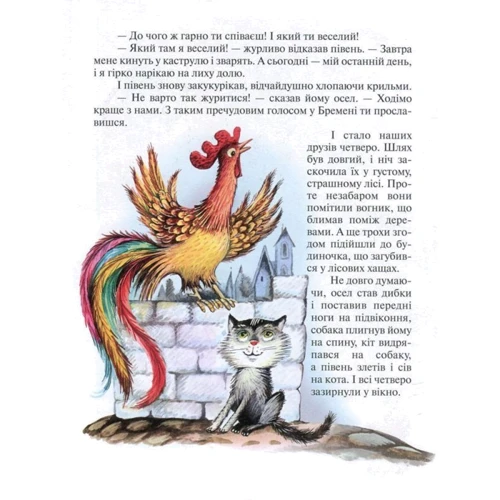 Брати Грімм, Вільгельм Гауф: Сказки: Обкладинка Твердая