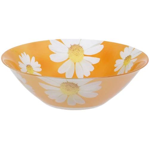 Столовий сервіз Luminarc CARINA PAQUERETTE MELON 19 пр (P4399): Кількість персон 6