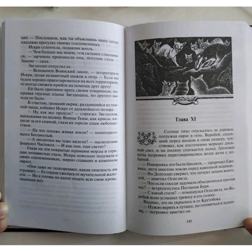 Эрин Хантер: Коты-воители. Главная надежда: Обложка Твердая