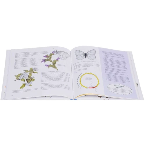 Каста Стефан: Моя книга бабочек: Количество страниц 60