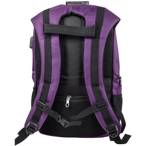 Чоловік рюкзак Valiria Fashion фіолетовий (3DETAB86-08-7): Тип рюкзаки