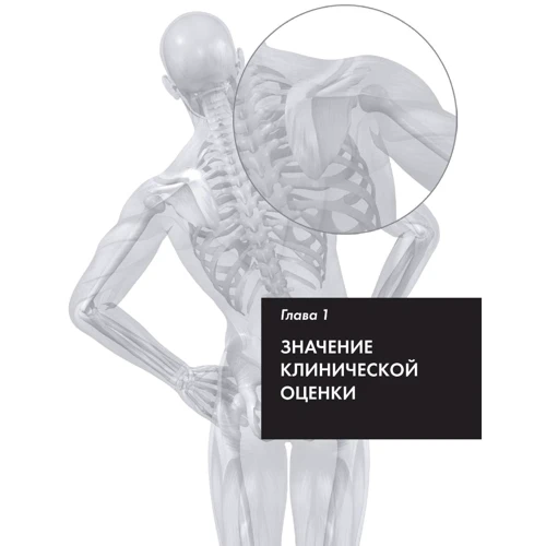 Девід Зулак: Клінічна оцінка в лікувальному масажі фото 8