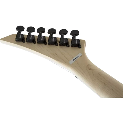 Електрогітара JACKSON JS32T RHOADS AH SATIN BLACK: Тип Электрогитара
