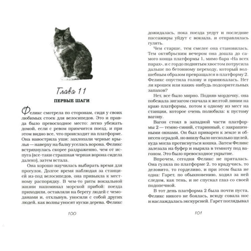 Феликс с железной дороги: Производитель АСТ