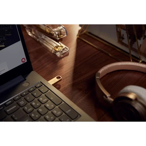 USB-флешка Kingston 256GB DataTraveler SE9 G3 USB 3.2 Gold (DTSE9G3/256GB): Объем памяти 256 GB