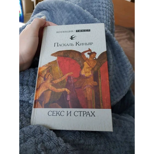 Паскаль Киньяр: Секс и страх: Количество страниц 256