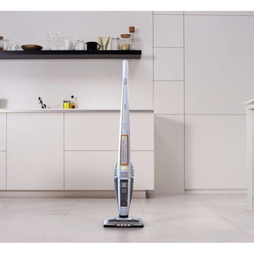 Пылесос Electrolux ZB 5020: Тип пылесоса вертикальный