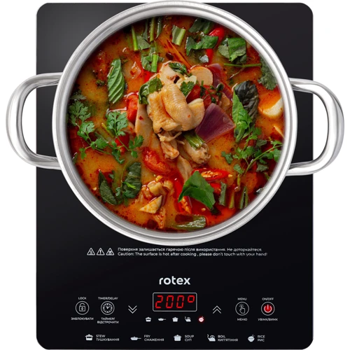Настольная плита Rotex RIO225-G фото 2