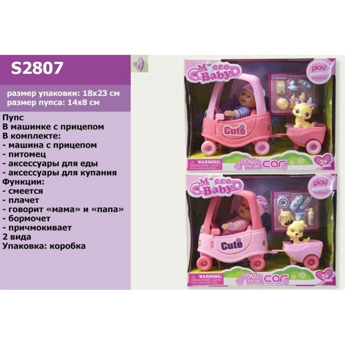 Пупс Micro Baby S2807 2 вида с аксессуарами