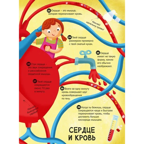 100 интересных фактов. Моё тело: Обложка Мягкая