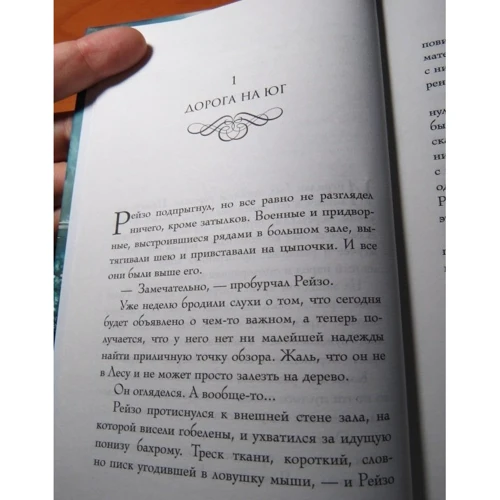 Шеннон Хейл. річкові таємниці: Кількість сторінок 384