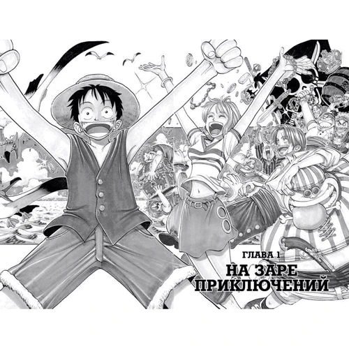Ейітіро Ода: One Piece. Великий куш. книга 1: Кількість сторінок 608