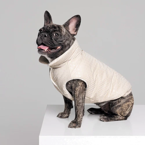 Жилет для собак Pet Fashion LUCKY бежевий XL (4823082428724): Розмір тваринного Большие