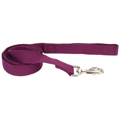 Поводок Coastal New Earth Soy Dog Leash для собак фиолетовый 1.6 см 1.83 м (55185)