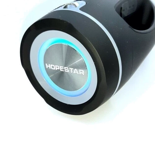 Акустика Hopestar H45 Party Black: Тип портативная