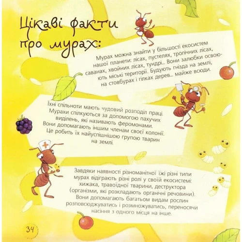 Алехандро Альгара: Пізнаю світ. Мурахи: Автор Алехандро Альгара