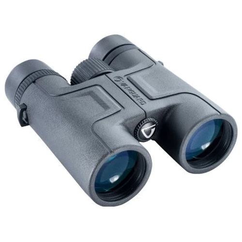 Бинокль Vanguard Vesta 10x42 WP (Vesta 1042): Стекла Призмы BAK4