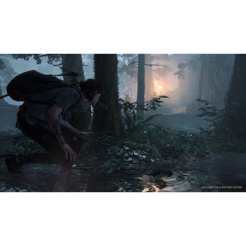 The Last of Us: Part II (PS4): Издательство Sony