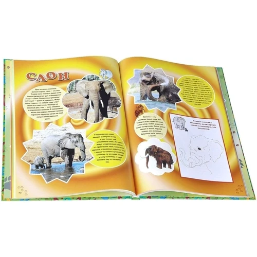 про звірят: ISBN 978-5-7793-2384-0