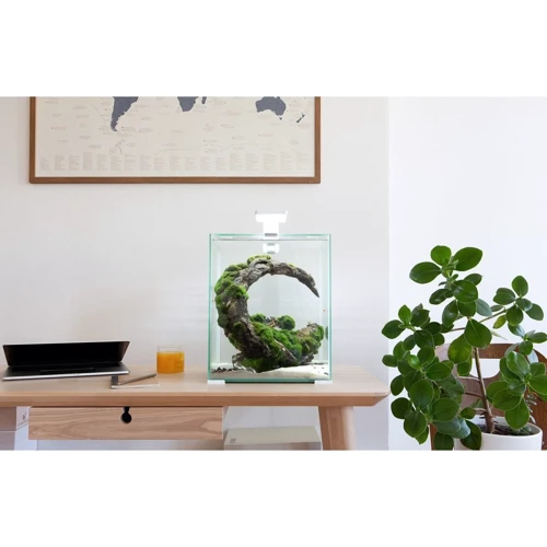 Аквариум Aquael для креветок SMART 2.0 / Day & Night 10 л белый (5905546308564) фото 3