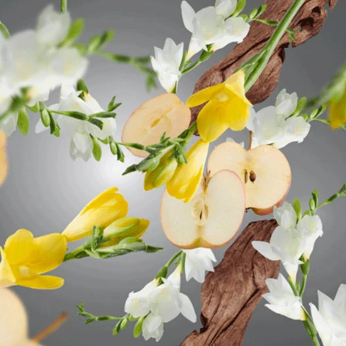 Аромат для дифузора Maison Berger Paris Anti-animal Fruity & Floral 200 мл (6271) фото 1