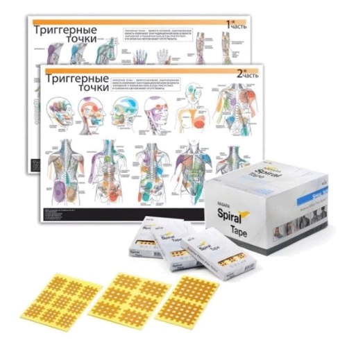 Таблица триггерних точек Medisport + кросс тейп (TM 98+A)