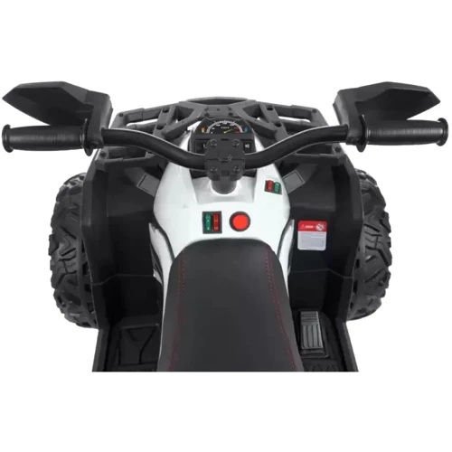 Детский электроквадроцикл Bambi Racer M 4795EBLR-1 до 30 кг: Максимальная скорость, км/ч 3-5