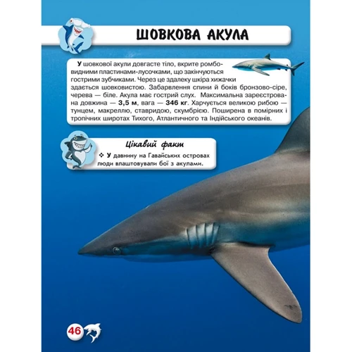 Світ довкола нас. Акулі. Фотоенциклопедія фото 6