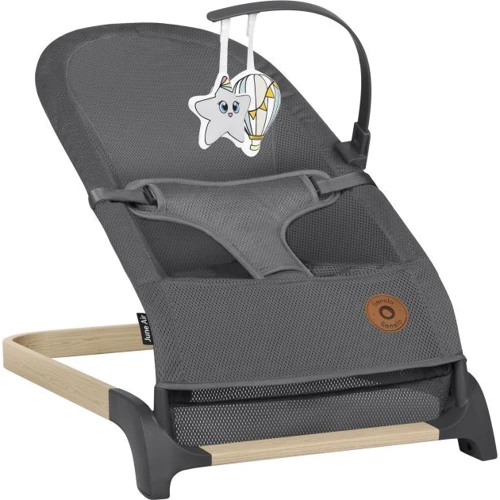 Детский шезлонг Lionelo June Air Grey Graphite серый (LO-JUNE AIR GREY GRAPHITE): Тип шезлонги