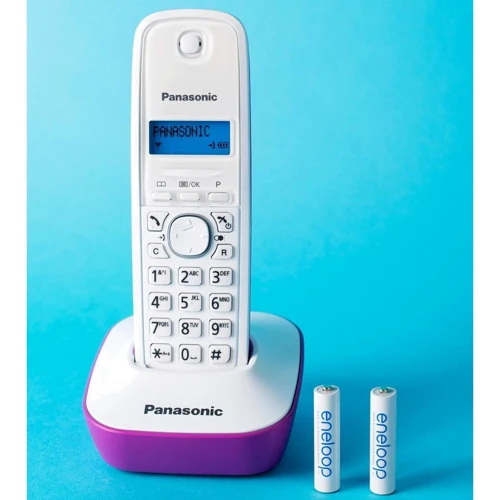 Panasonic Eneloop AAA 750mAh NI-MH Dect Series * 3 (BK-4MCCE/3DE) фото 2