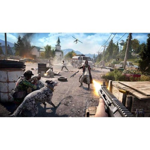 Far Cry 5 (PS4) фото 4
