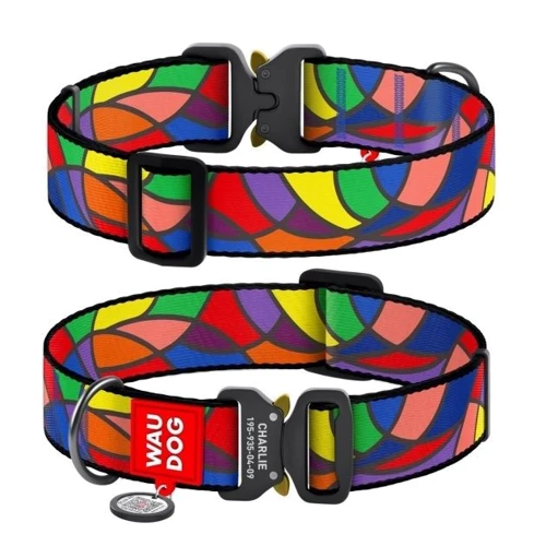Ошейник для собак WAUDOG Nylon с QR паспортом Витраж, XXL (4535-0051)