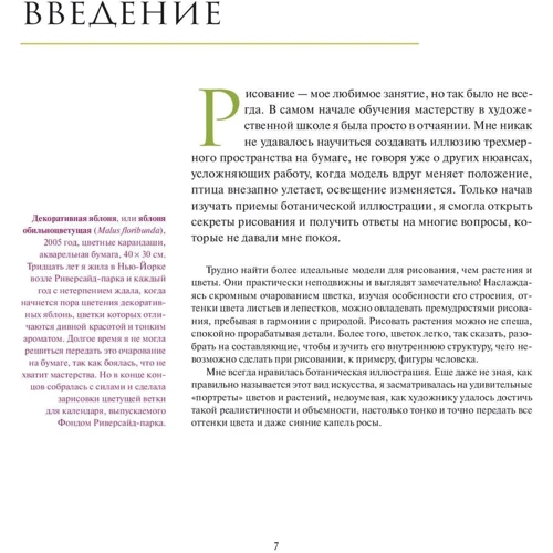 Ботанічна ілюстрація: Жанр малювання