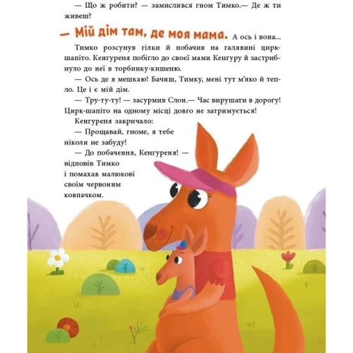 Ганна Макуліна: Пригоди гнома Тимка: Обложка Твердая