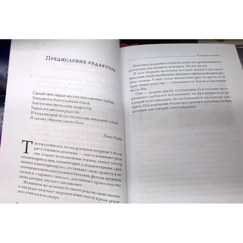 Женщины Абсолюта: Количество страниц 364