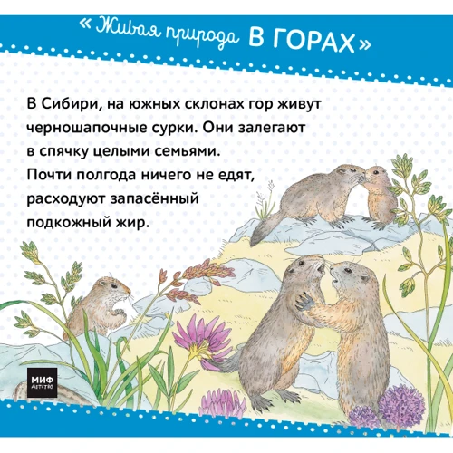 Живая природа. В горах: Количество страниц 48